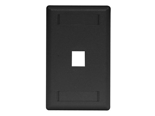 Bryant Plate Wall Flush 1-Gang 1-Port Black (IFP11BK)