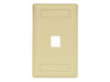 Bryant Plate Wall Flush 1-Gang 1-Port Ivory (IFP11EI)