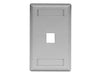 Bryant Plate Wall Flush 1-Gang 1-Port Gray (IFP11GY)