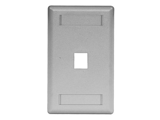 Bryant Plate Wall Flush 1-Gang 1-Port Gray (IFP11GY)