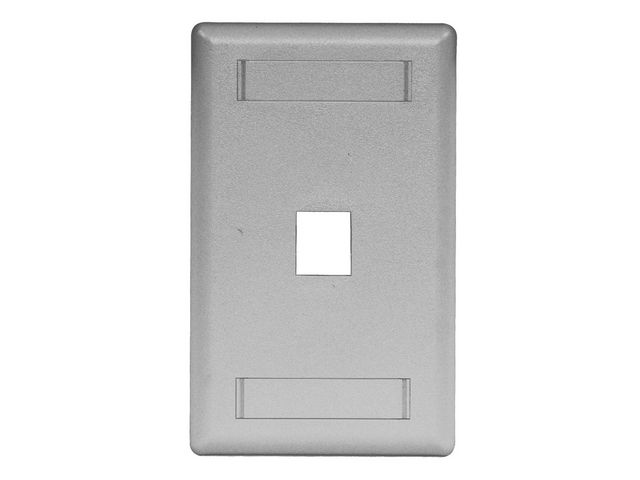 Bryant Plate Wall Flush 1-Gang 1-Port Gray (IFP11GY)