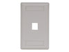 Bryant Plate Wall Flush 1-Gang 1-Port Office White (IFP11OW)