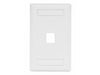 Bryant Plate Wall Flush 1-Gang 1-Port White (IFP11W)