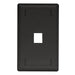 Bryant Plate Wall Flush 1-Gang 1-Port Black (IFP11BK)