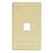 Bryant Plate Wall Flush 1-Gang 1-Port Ivory (IFP11EI)