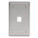 Bryant Plate Wall Flush 1-Gang 1-Port Gray (IFP11GY)