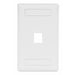 Bryant Plate Wall Flush 1-Gang 1-Port White (IFP11W)