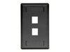 Bryant Plate Wall Flush 1-Gang 2-Port Black (IFP12BK)
