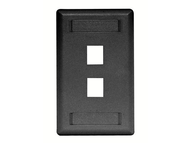 Bryant Plate Wall Flush 1-Gang 2-Port Black (IFP12BK)