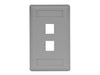 Bryant Plate Wall Flush 1-Gang 2-Port Gray (IFP12GY)
