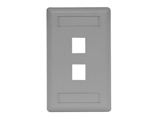 Bryant Plate Wall Flush 1-Gang 2-Port Gray (IFP12GY)