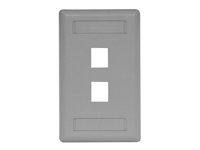Bryant Plate Wall Flush 1-Gang 2-Port Gray (IFP12GY)