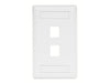 Bryant Plate Wall Flush 1-Gang 2-Port White (IFP12W)