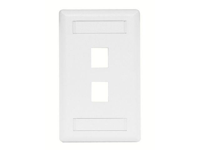 Bryant Plate Wall Flush 1-Gang 2-Port White (IFP12W)