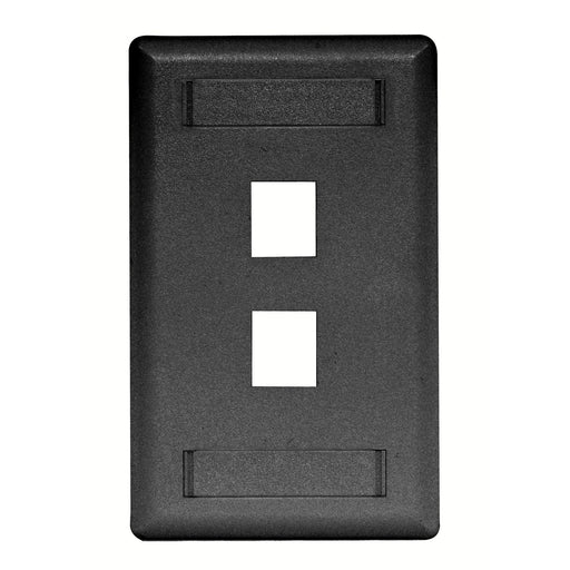 Bryant Plate Wall Flush 1-Gang 2-Port Black (IFP12BK)