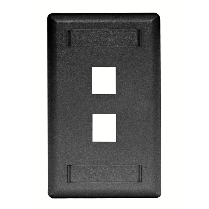 Bryant Plate Wall Flush 1-Gang 2-Port Black (IFP12BK)