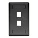 Bryant Plate Wall Flush 1-Gang 2-Port Black (IFP12BK)