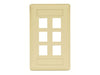 Bryant Plate Wall Flush 1-Gang 6-Port Ivory (IFP16EI)