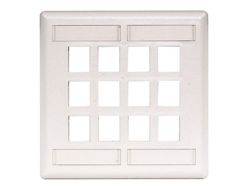 Bryant Plate Wall Flush 2-Gang 12-Port White (IFP212W)