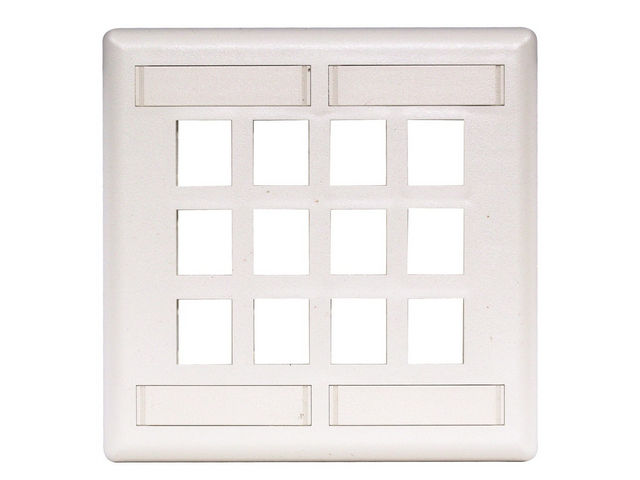 Bryant Plate Wall Flush 2-Gang 12-Port White (IFP212W)