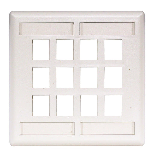 Bryant Plate Wall Flush 2-Gang 12-Port White (IFP212W)