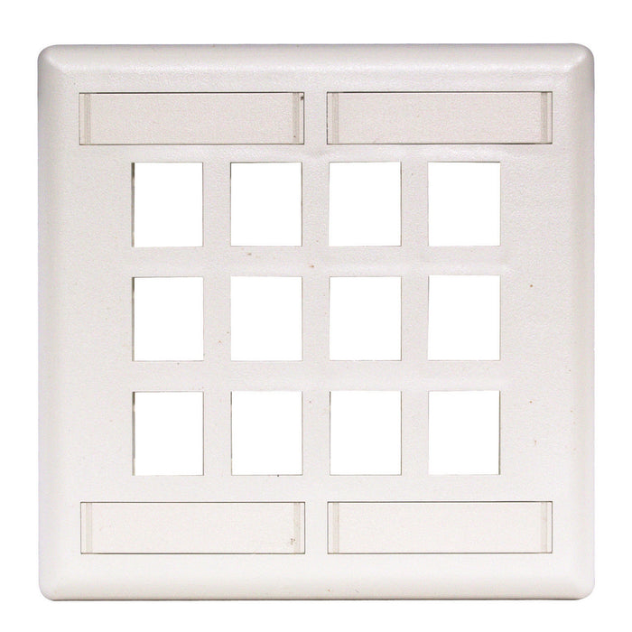 Bryant Plate Wall Flush 2-Gang 12-Port White (IFP212W)