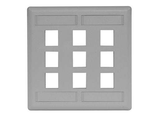 Bryant Plate Wall Flush 2-Gang 9-Port Gray (IFP29GY)
