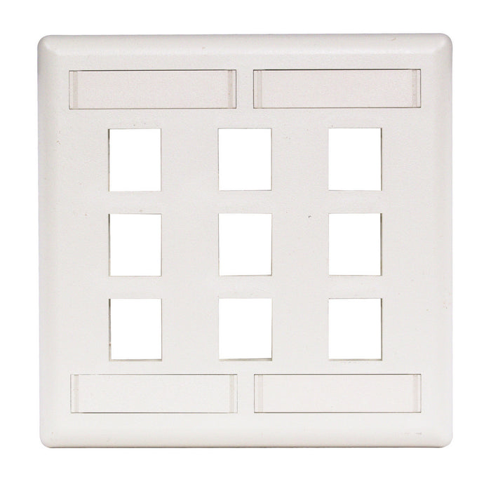 Bryant Plate Wall Flush 2-Gang 9-Port White (IFP29W)