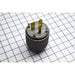 Bryant Plug 30A 250V 6-30P (9630NP)