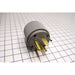 Bryant Plug 50A 250V 6-50P (9650NP)