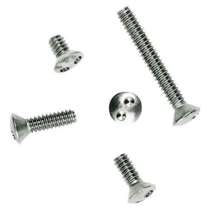 Bryant Tamperproof Screw 6/32X1/4 Inch (SSTP14)