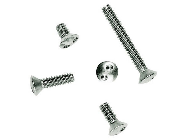 Bryant Tamperproof Screw 6/32X2 Inch (SSTP2)