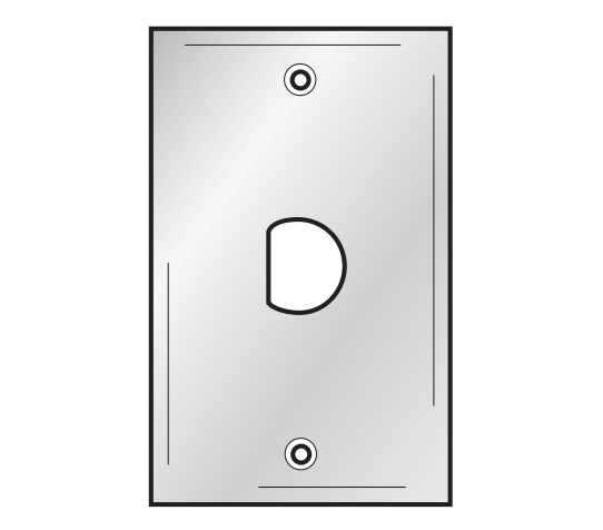 Bryant Wall Plate 1-Gang 2) D-Hole Stainless Steel (SSD1423)