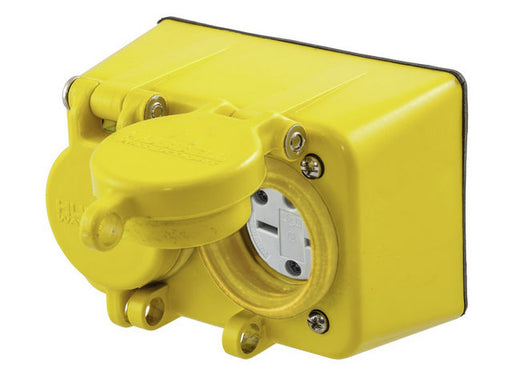 Bryant Watertight 15A/250V 6-15 Duplex Receptacle (BRY60W49D)