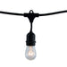 Bulbrite STRING10/E26/BLACK-S14KT 14 Foot String Light 10 Socket Kit Black With 11W S14 Clear 130V E26 Lamps 2700K (810006)