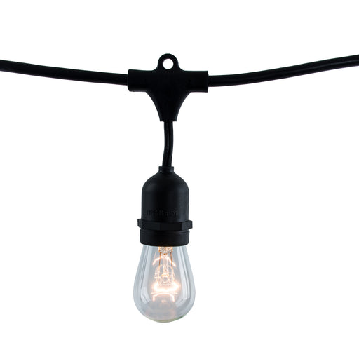 Bulbrite STRING15/E26-S14KT 48 Foot String Light Set With S14 Lamps 2700K (810002)