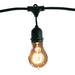 Bulbrite STRING15/E26-A19KT 48 Foot String Light Set With Nostalgic A19 Lamps 2200K (810004)