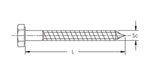 Caddy 42 Hex Head Lag Screw 1/2 Inch Screw 2-1/2 Inch Screw Length (0425025EG)