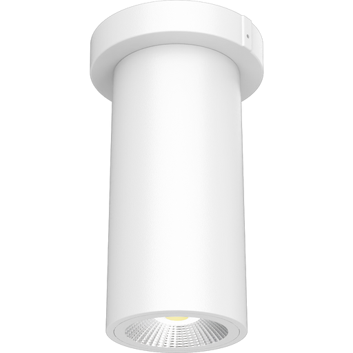 RAB 3 Inch LED Cylinder Wattage/CCT Selectable 6W/8W/10W 3000K/4000K/5000K 90 CRI Surface Pendant Mount White Finish Clear Lens (CD34-3SPW)