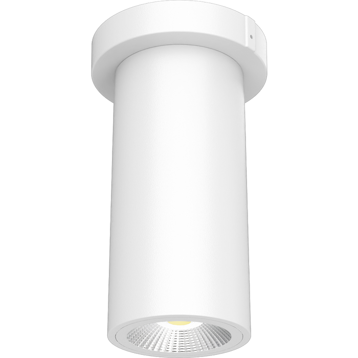 RAB 3 Inch LED Cylinder Wattage/CCT Selectable 6W/8W/10W 3000K/4000K/5000K 90 CRI Surface Pendant Mount White Finish Clear Lens (CD34-3SPW)