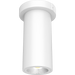 RAB 3 Inch LED Cylinder Wattage/CCT Selectable 6W/8W/10W 3000K/4000K/5000K 90 CRI Surface Pendant Mount White Finish Clear Lens (CD34-3SPW)