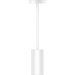 RAB 3 Inch LED Cylinder Wattage/CCT Selectable 6W/8W/10W 3000K/4000K/5000K 90 CRI Surface Pendant Mount White Finish Clear Lens (CD34-3SPW)