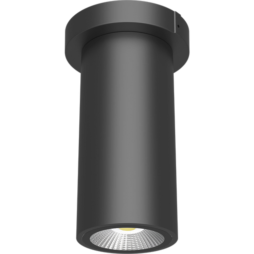 RAB 3 Inch LED Cylinder Wattage/CCT Selectable 6W/8W/10W 3000K/4000K/5000K 90 CRI Surface Pendant Mount Bronze Finish Clear Lens (CD34-3SPZ)