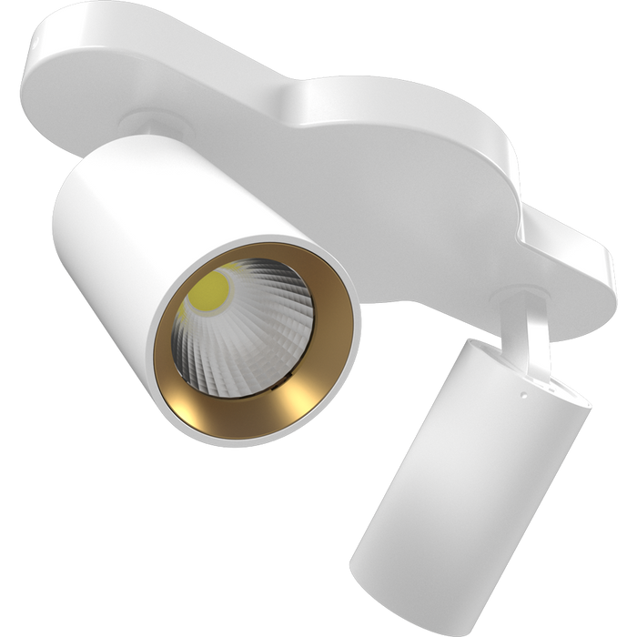 RAB COLUMN Track Light Two 6W Heads CCT Selectable 3000K/4000K/5000K Linear Ceiling Mount 36 Degree Beam Angle White 120V (COL12LM2)