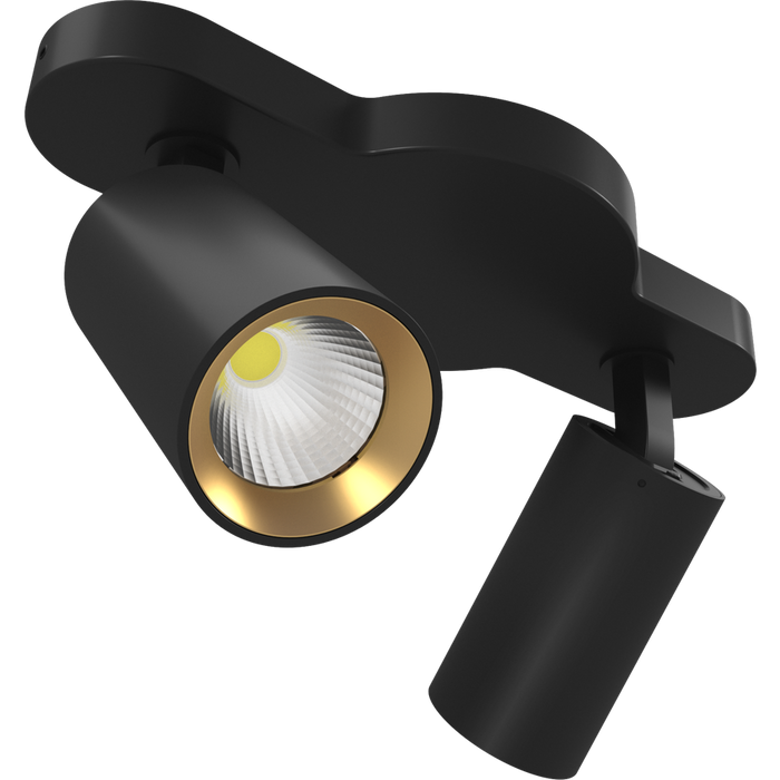 RAB COLUMN Track Light Two 6W Heads CCT Selectable 3000K/4000K/5000K Linear Ceiling Mount 36 Degree Beam Angle Black 120V (COL12LM2B)