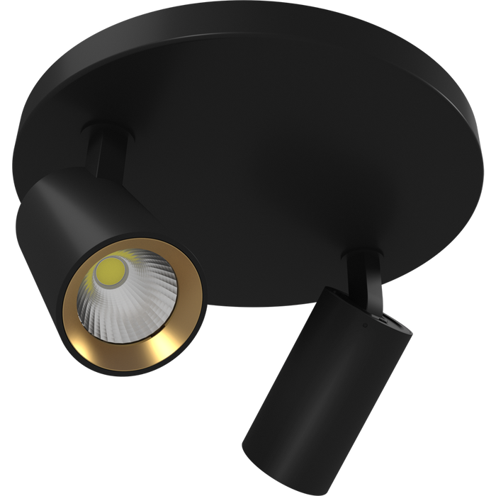 RAB COLUMN Track Light Two 6W Heads CCT Selectable 3000K/4000K/5000K Round Surface Mount 36 Degree Beam Angle Black 120V (COL12SM2B)