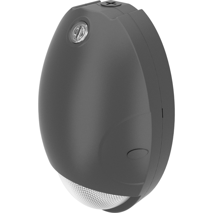 RAB Teardrop Mini Wall Pack 15W CCT Selectable 3000K/4000K/5000K 80 CRI 120-277V Bronze Battery Backup (DROP/E)