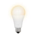 Feit Electric 8.8W [60W Equivalent] Adjustable White CCT Selectable 2700K/3000K/3500K/4000K/5000K Rechargeable Battery-Powered LED Bulb With Remote (OM60/5CCTCA/BAT/LEDI)