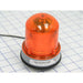 Edwards Signaling 125 Class Steady-On LED Beacon In A NEMA Type 4X Enclosure Panel Or Conduit Mounting Protective Wire Guard Available (125LEDSA120A)
