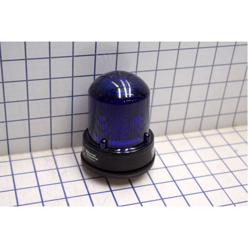 Edwards Signaling 125 Class Steady-On LED Beacon In A NEMA Type 4X Enclosure Panel Or Conduit Mounting Protective Wire Guard Available (125LEDSB24DB)